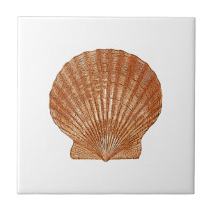 Bay Scallop Shell Ceramic Tile