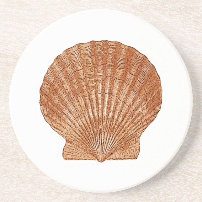 Bay Scallop Shell Coaster (Front)