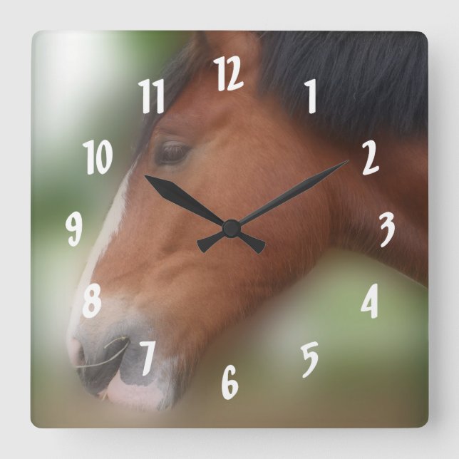 Bay Shire Draught   Horse Face Animal Square Wall Clock (Front)