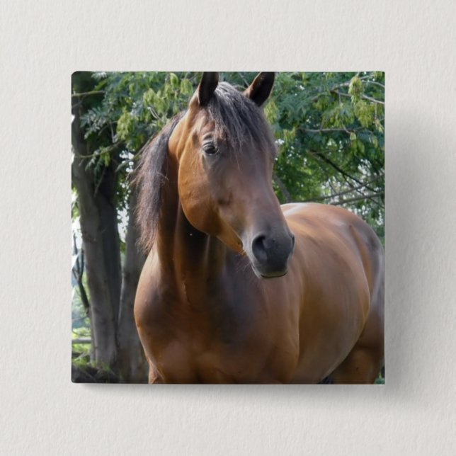 Bay Thoroughbred Horse Square Pin (Front)