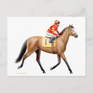Bay Thoroughbred Race Horse Postcard