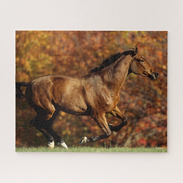 Bay Warmblood Running Autumn Background Jigsaw Puzzle (Horizontal)