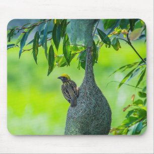 Baya weaver, Bird, Weaverbird Mouse Pad