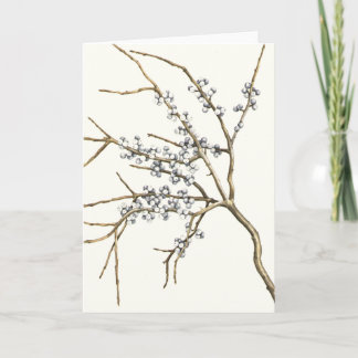 Bayberry Holiday Card