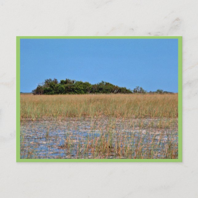 Bayhead in Sawgrass Postcard (Front)