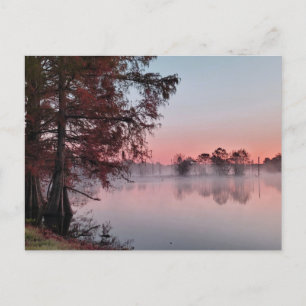 Bayou sunrise postcard