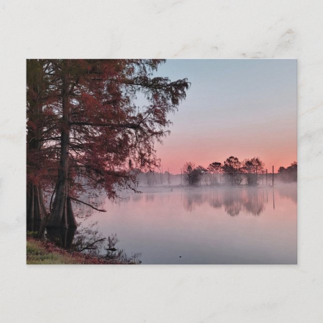 Bayou sunrise postcard (Front)