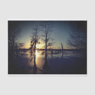 Bayou Sunset   Cypress Trees & Swamp Tissue Paper