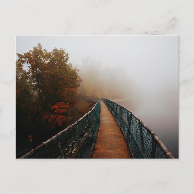 Bays Mountain Dam in the Fog Postcard (Front)