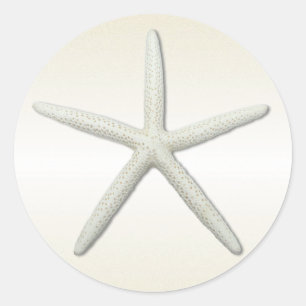 Bayside Single Starfish Champagne Round Classic Round Sticker