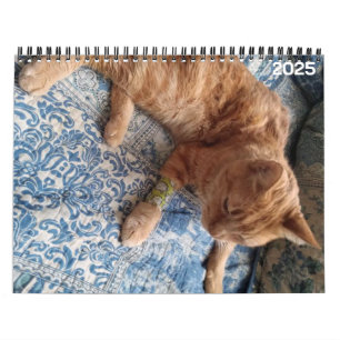 Bazz 12 Month 2025 Personalised Calendar