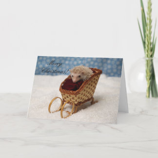 BB238777, MerryChristmas! Holiday Card