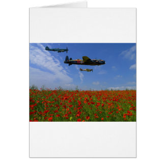 BBMF and poppies