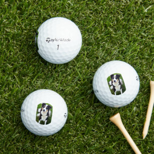 bc ai 6 golf balls