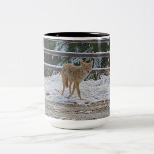 BC Coyote Wildlife Nature Coffee Mug