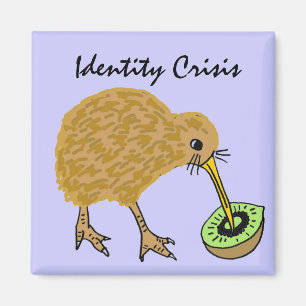 BC- Funny kiwi Bird and Fruit Magnet