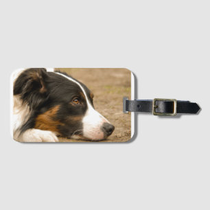 bc laying flat luggage tag