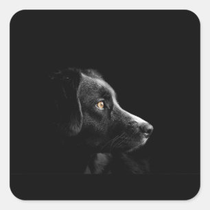 bc on black square sticker