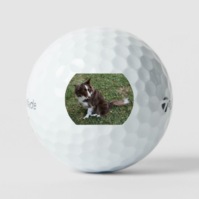 bc p 5 golf balls (Front)