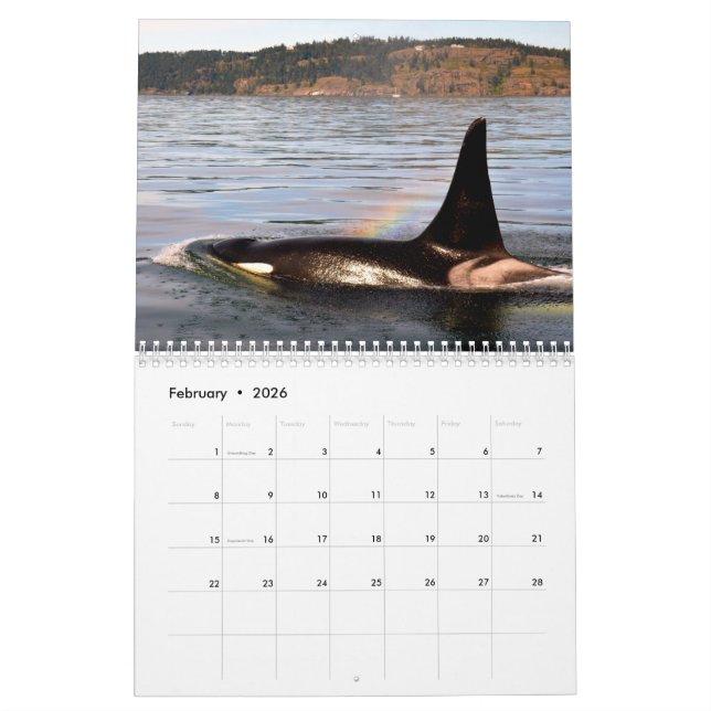 BC Whales Calendar (Feb 2026)