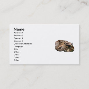 BCI Business Card