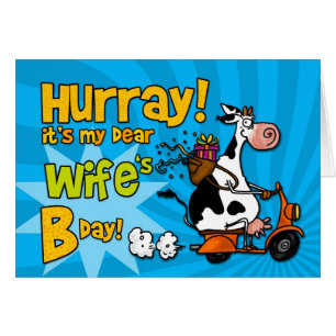 bd scooter cow - wife