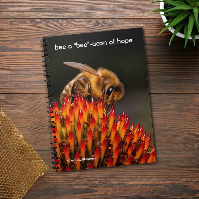 Be a "Bee"acon Beacon of Hope Bee on Echinacea Notebook (Honeybee on the Echinacea Journal Cover Photo)