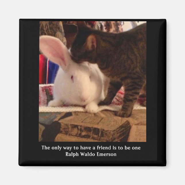 Be a Friend Magnet  (Front)