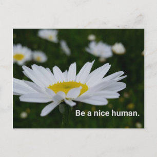 Be a Nice Human Postcard