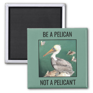 Be a Pelican, Not a Pelican't Magnet