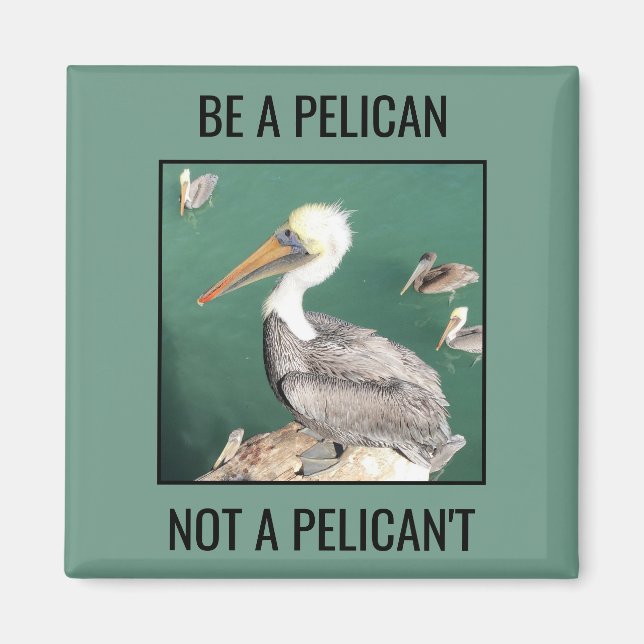 Be a Pelican, Not a Pelican't Magnet (Front)
