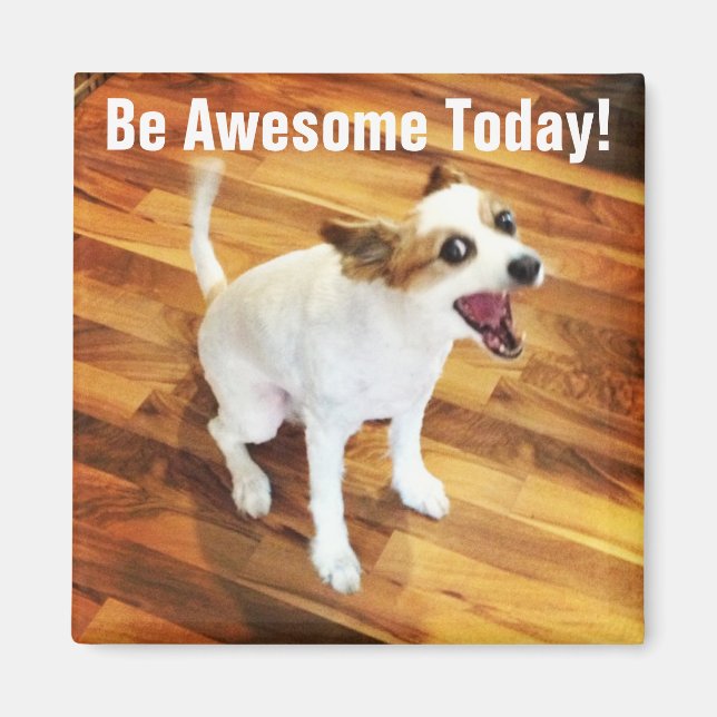 Be Awesome Today! Magnet (Front)