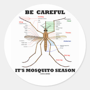 Be Careful It's Mosquito Season (Mosquito Anatomy) Classic Round Sticker