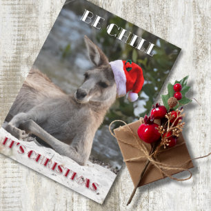 Be Chill It’s Christmas Kangaroo Holiday Card