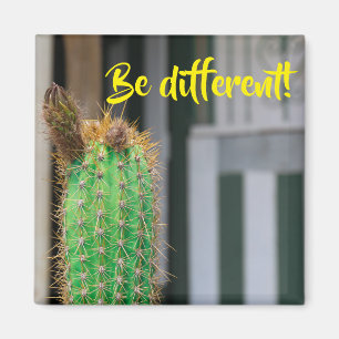 Be Different Cactus Inspiration Magnet