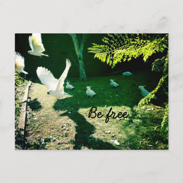 Be free postcard (Front)