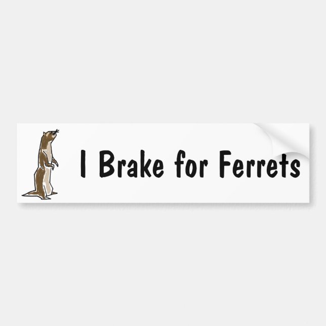BE- I Brake for Ferrets Bumper Sticker (Front)