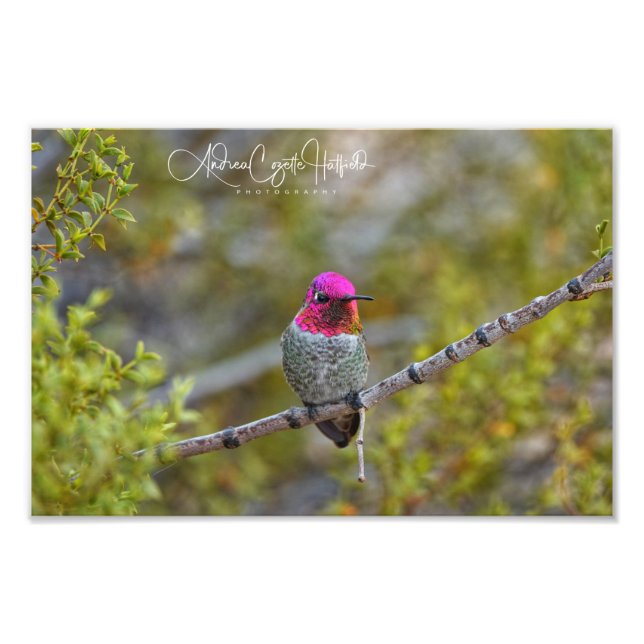 Be-Jewelled 1 Photo Print (Front)