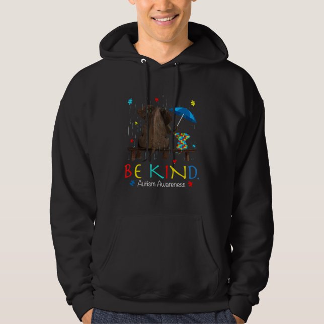 Be Kind Autism Awareness Month Support Puzzle Piec Hoodie (Front)