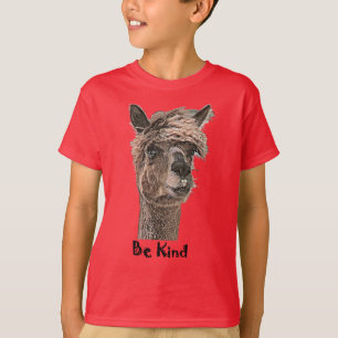 Be Kind T-Shirt