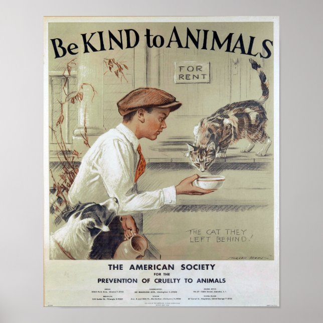 Be Kind to Animals-Cats Poster (Front)
