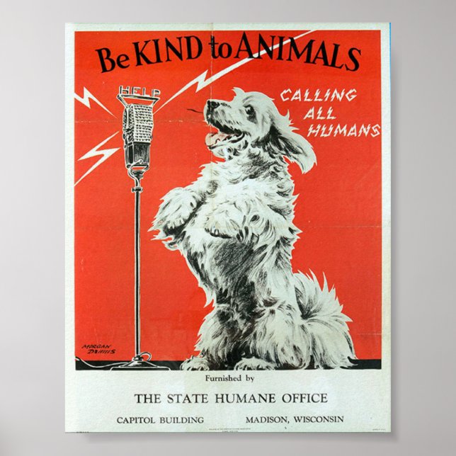 Be Kind To Animals - Dog "Calling All Humans" Poster (Front)