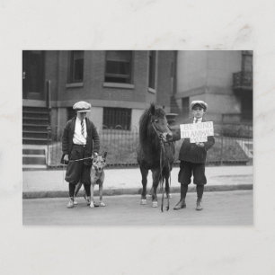 Be Kind to Animals Week, 1923 Postcard