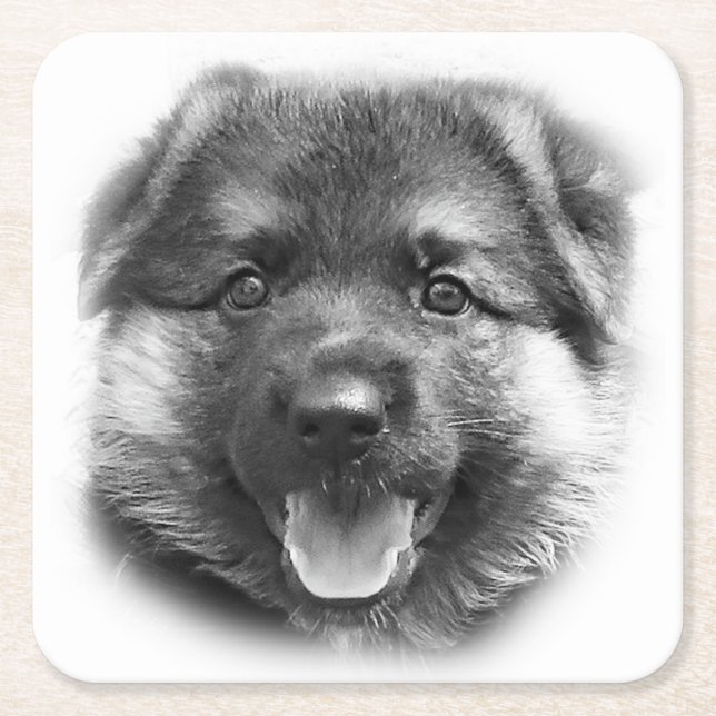 BE LIKE BONK! SQUARE PAPER COASTER (Front)