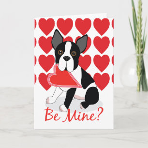 Be Mine? Boston Terrier Valentine's Day Card