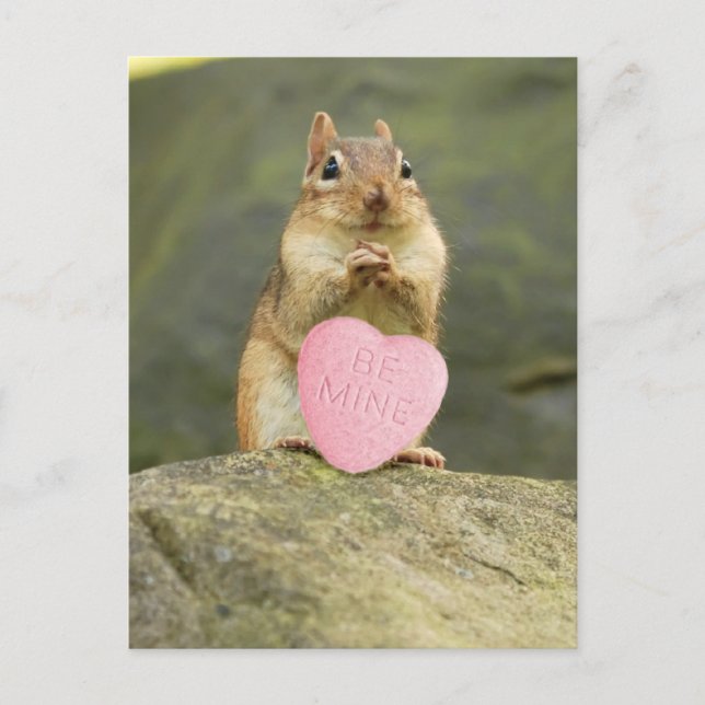 Be Mine Little Chipmunk Postcard (Front)