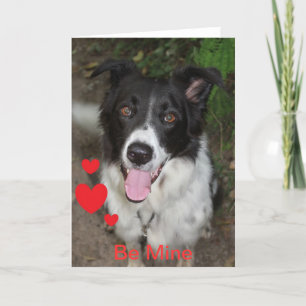 Be Mine Valentine from the Border Collie Dog Holiday Card