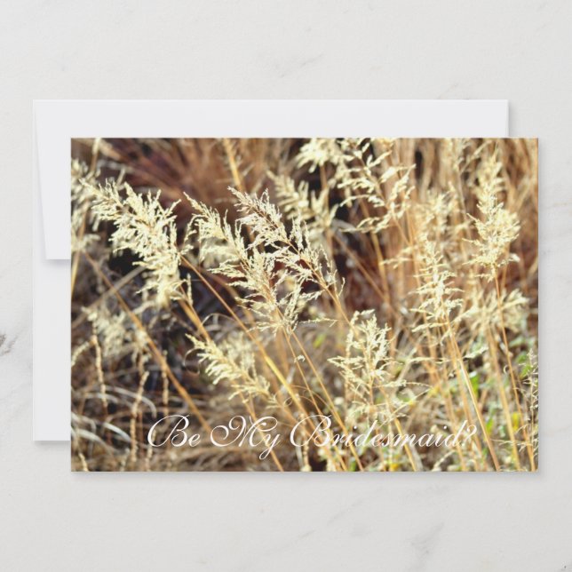 Be my bridesmaid desert grass invitation (Front)