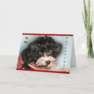 Be My Valentine? card