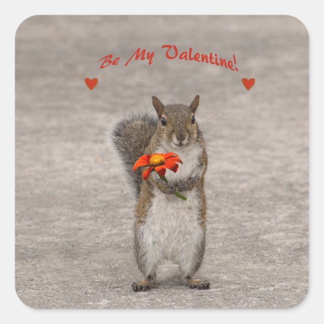 Be My Valentine From Cute Squirrel Square Sticker (Front)